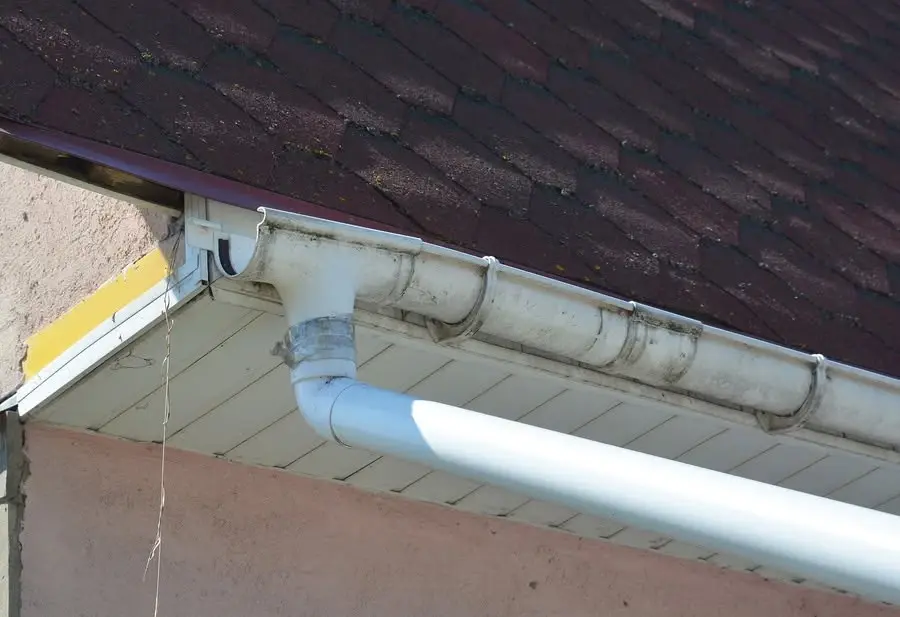 White gutter and downspout running along the eave of a shingled roof