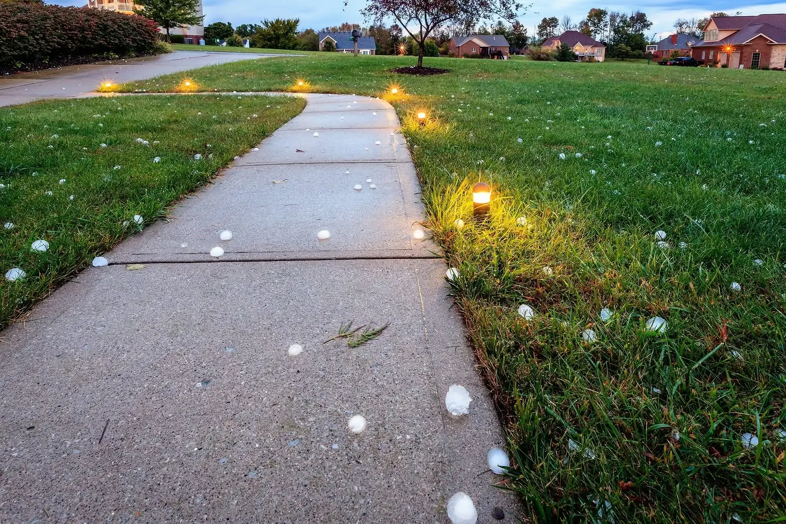 Hailstones scattered across a front walk and lawn at dusk