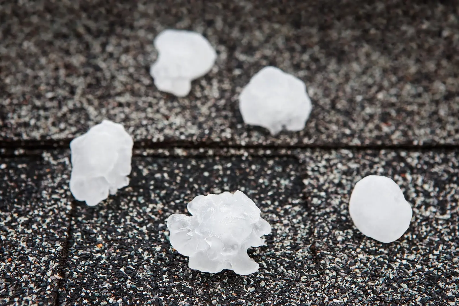 Hailstones resting on an asphalt shingle roof